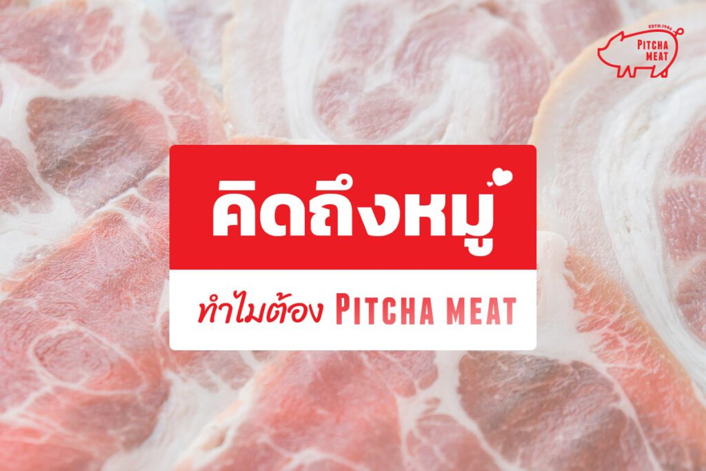คิดถึงหมูทำไมต้องพิชชามีท