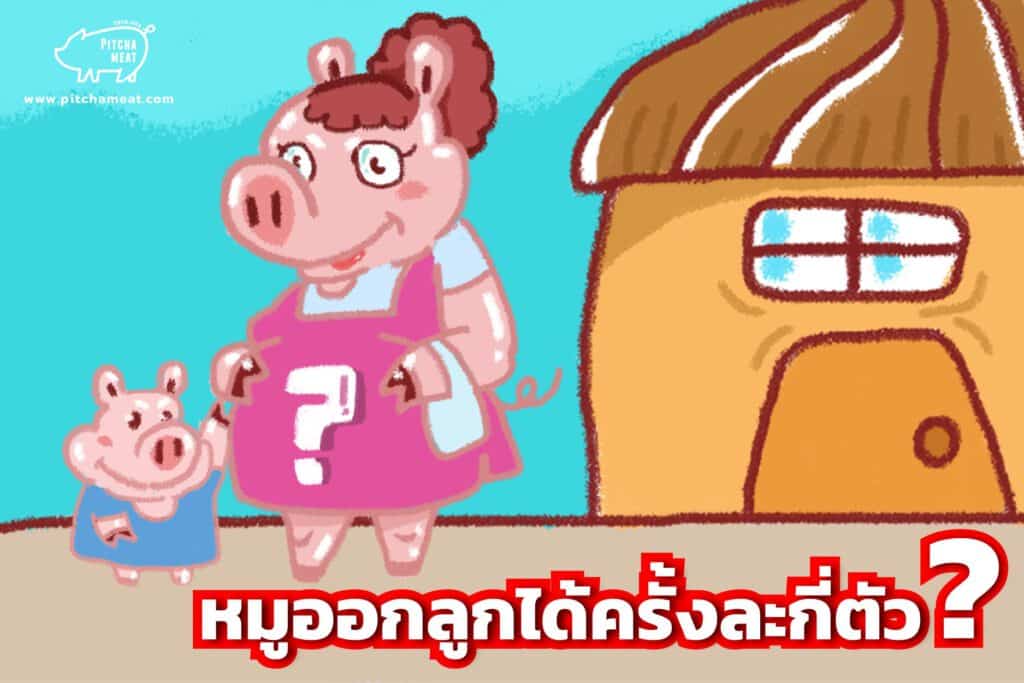 หมูออกลูกได้ครั้งละกี่ตัว