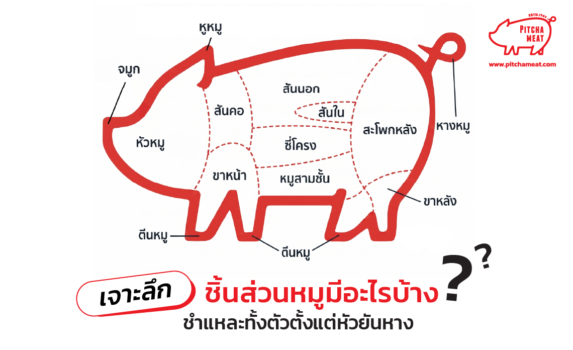 ชิ้นส่วนหมูมีอะไรบ้าง
